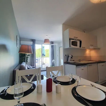 Le Blanc-martel - Piscine, Climatisation & Parking 公寓 格雷乌莱班